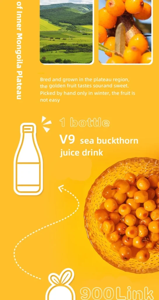 Sea Buckthorn Juice 300ml