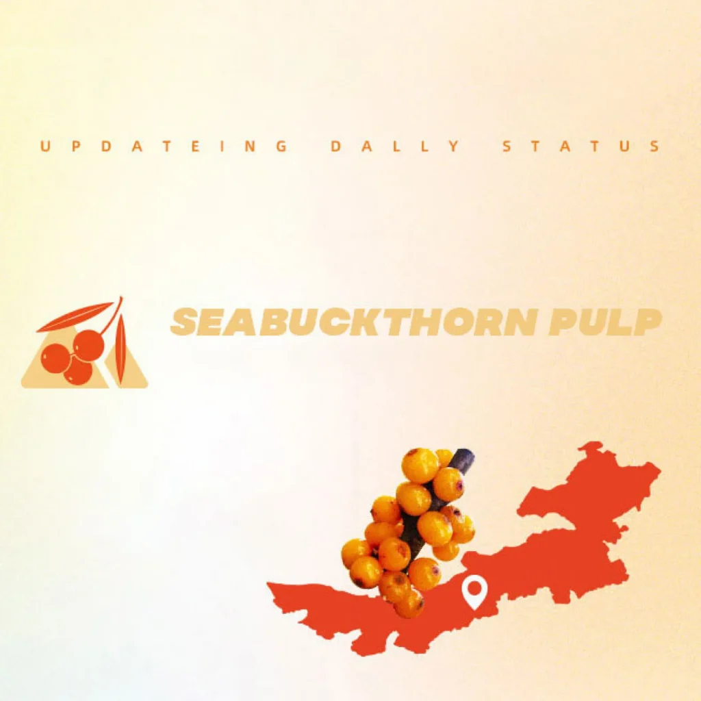 sea buckthorn ginseng puree