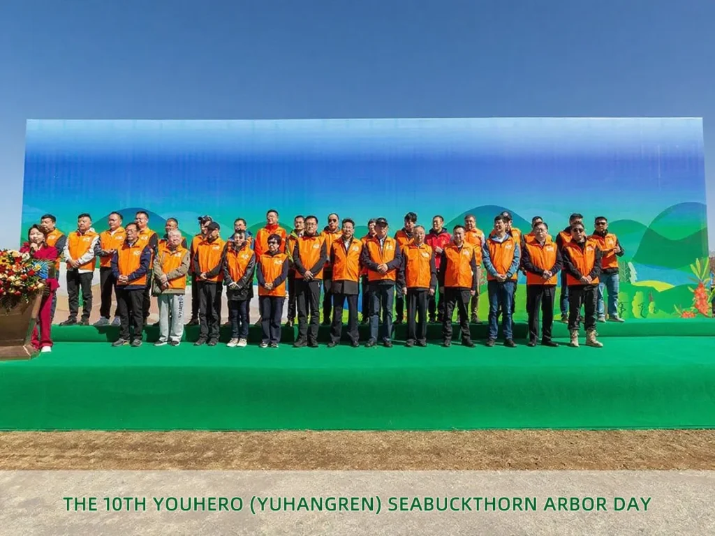 youhero for sea buckthorn tree planting