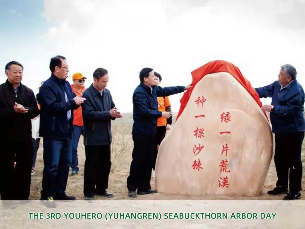 youhero for sea buckthorn tree planting