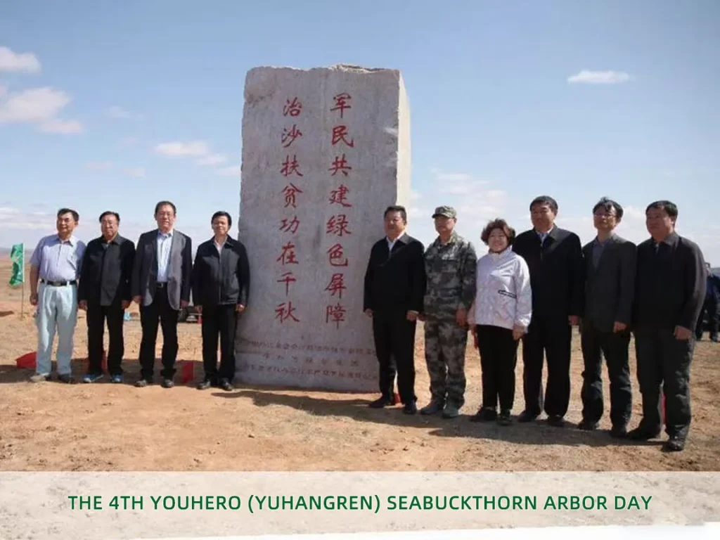 youhero for sea buckthorn tree planting