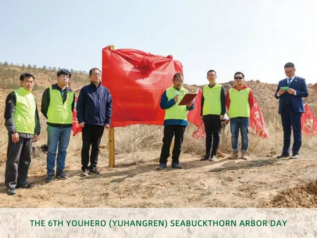 youhero for sea buckthorn tree planting