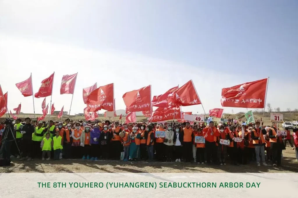youhero for sea buckthorn tree planting