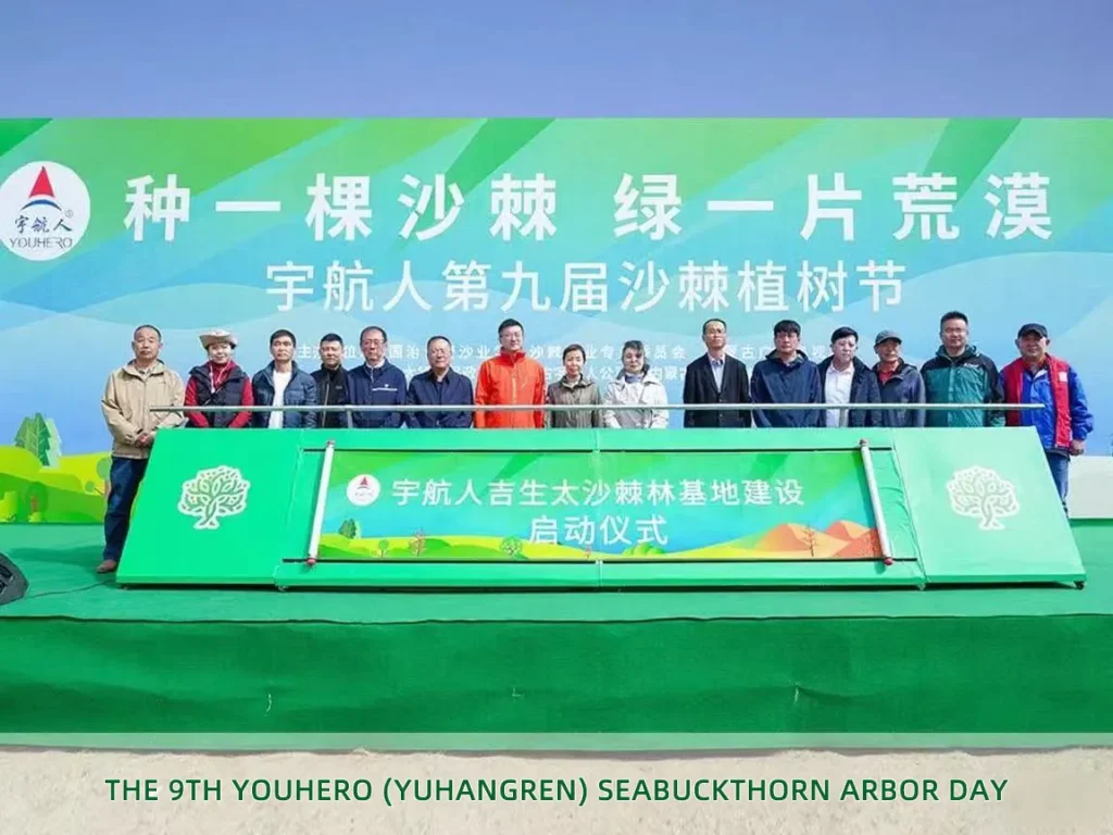 youhero for sea buckthorn tree planting