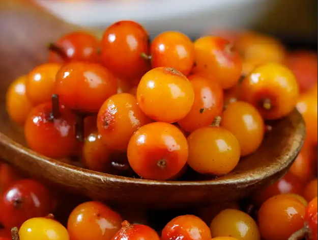 sea buckthorn benefits