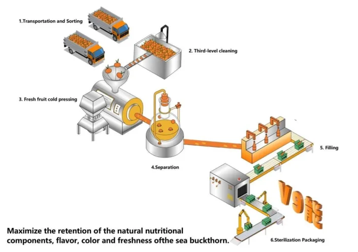 process of making sea buckthorn juice at factory
