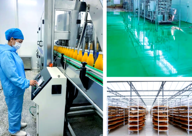 sea buckthorn manufacturer
