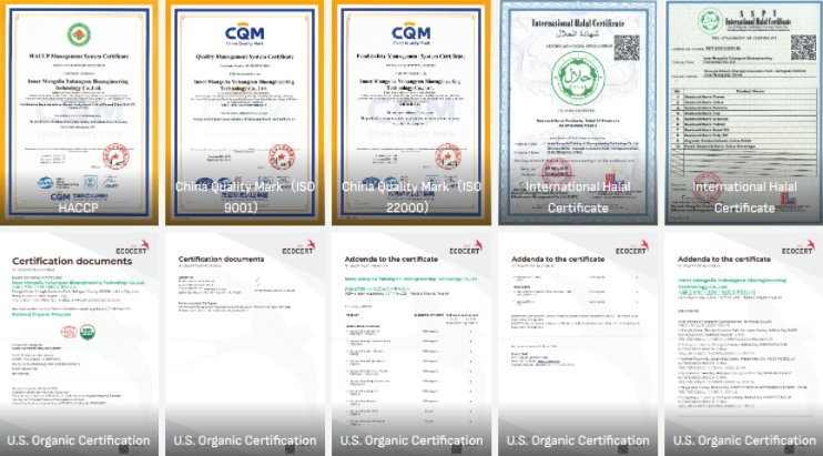 sea buckthorn produce certification and qualification