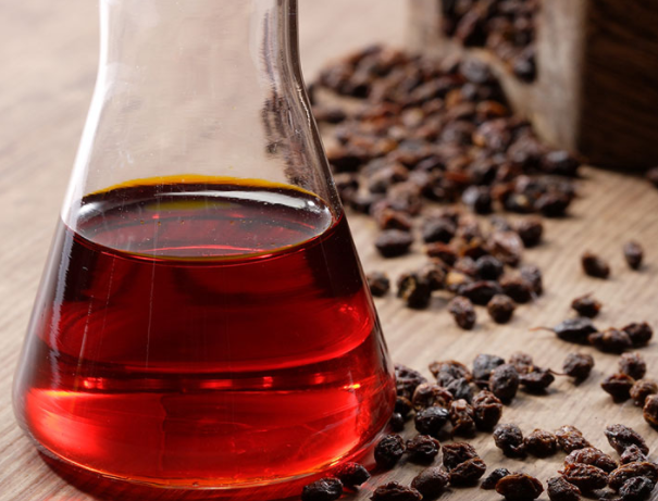 what is sea buckthorn berry oil