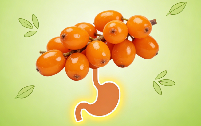 sea buckthorn supplement benefits for digestive health