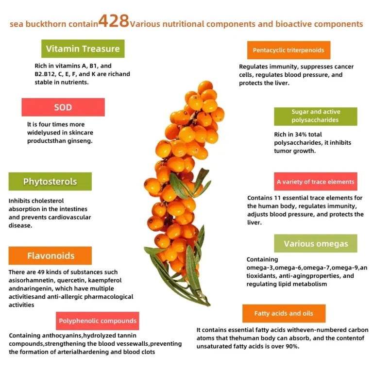 Nutritional benefits of Sea Buckthorn infographic