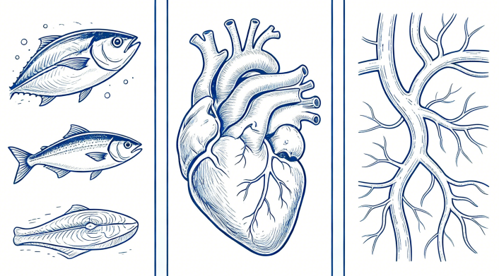 fish oil benefits for heart health