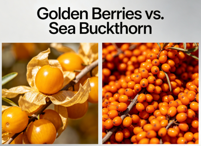 how to choose golden berry vs sea buckthorn