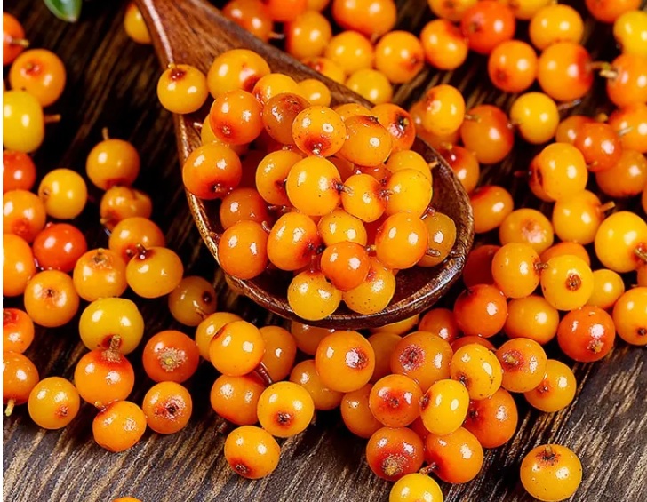 Sea buckthorn