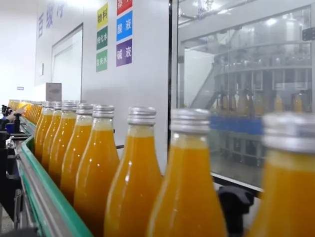 choose sea buckthorn oem or odm